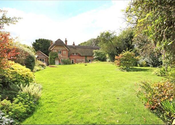 Lawn and Back