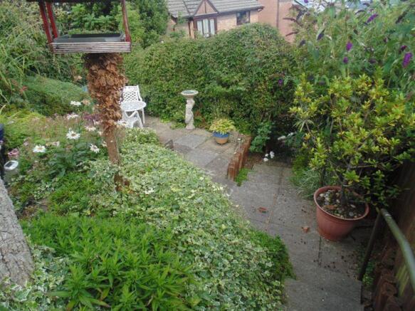 Photo 14