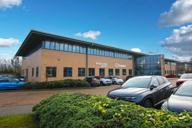 L7D_6919 edit blue sky (Medium).jpg