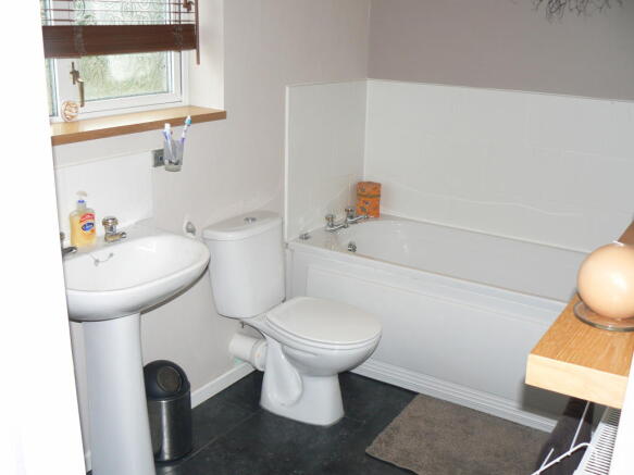 Photo 10