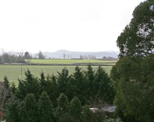 Views from Bedroom