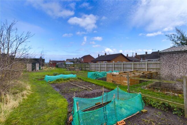 Vegetable Patch
