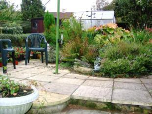 Patio Area