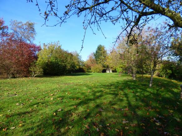 Grounds