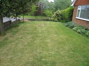 Side Garden