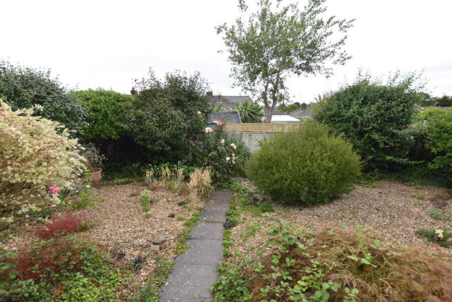 Back Garden 1
