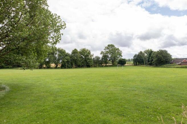 Field