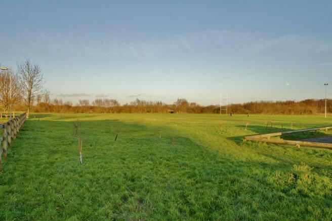 Field views