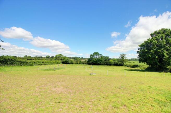 Rear Paddock