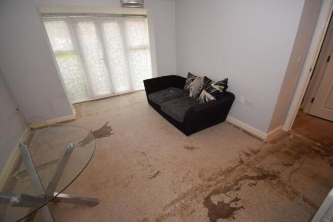 Living Room / Dining Room
