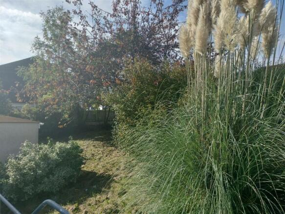 34 brynglas side pampas garden.jpg