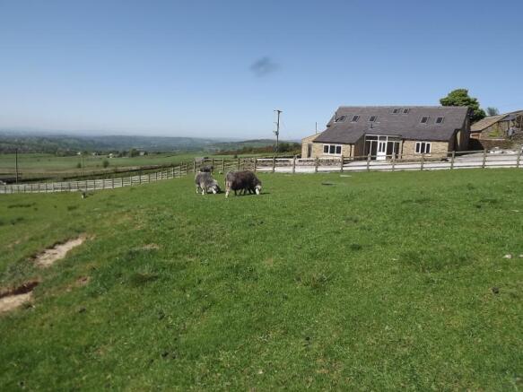 Panoramic Landscape