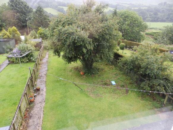 Back Garden