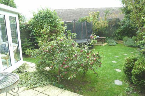 Photo 13