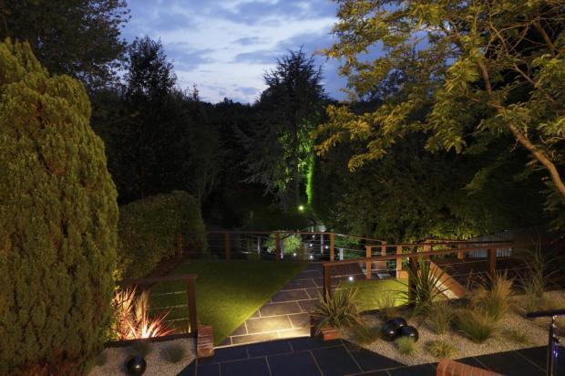 Garden Night Time 2
