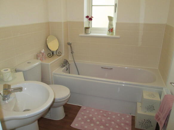 Photo 5