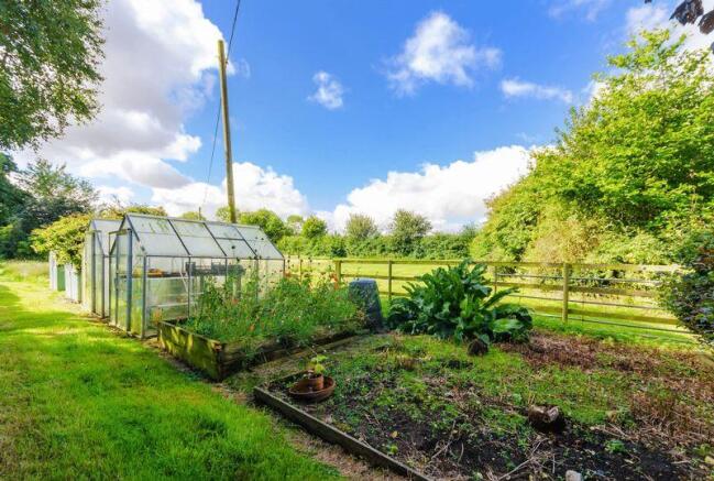 Vegetable garden