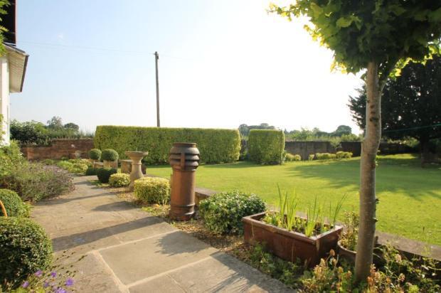 Terrace and Garden