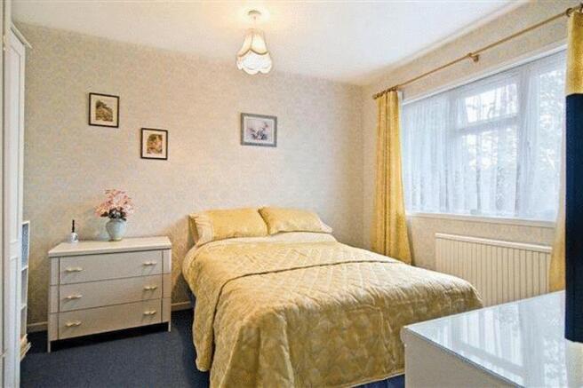 Photo11