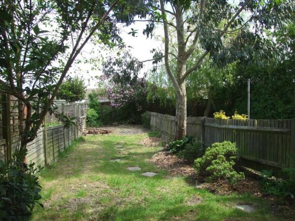 Rear Lawn with Trees