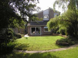 Rear Elevation