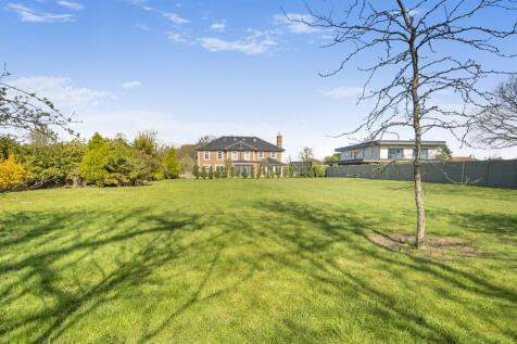 Norwich Common, Wymondham