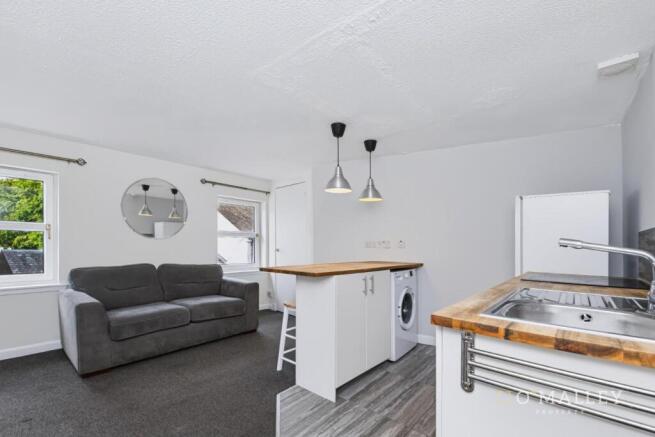 Lounge / Kitchen