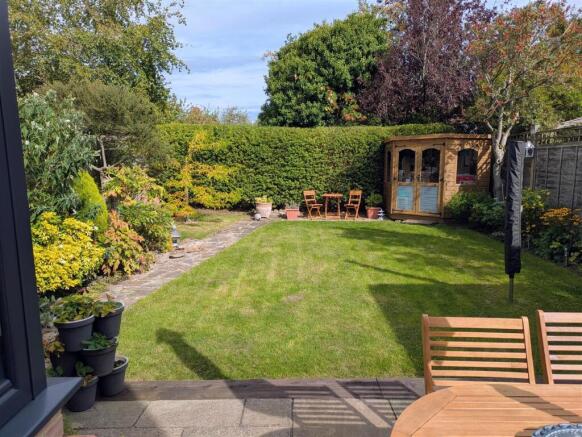 Nick back garden.jpg