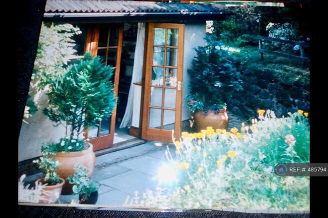 Back Garden