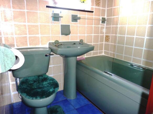 Photo 11