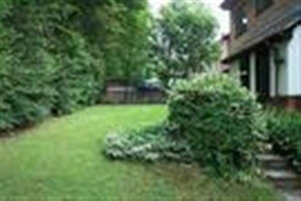 Communal Gardens