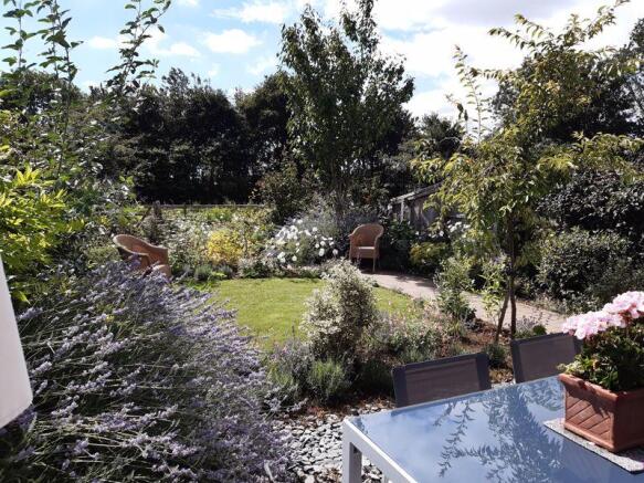 Garden - taken...