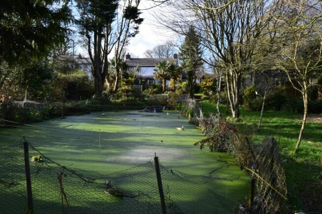 Garden & Pond