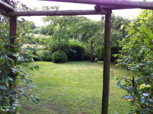 Photo 24