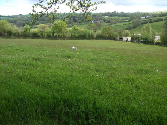 Photo 21
