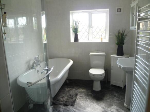 Image 11