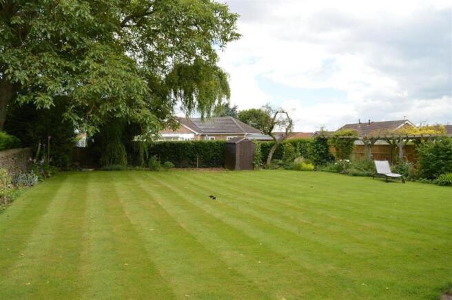 Garden 4.JPG