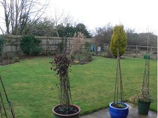 Garden,