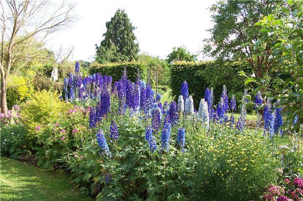 Garden in Bloom