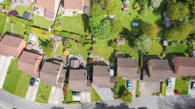 Aerial Plot View