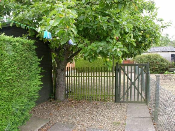 Photo 21