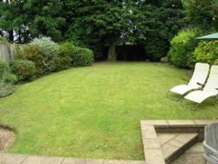 Rear gardens