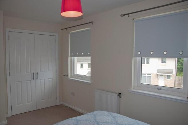 Picture 8