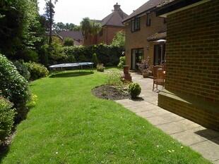 Sunny Garden