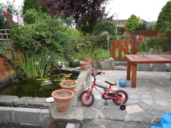 fishpond