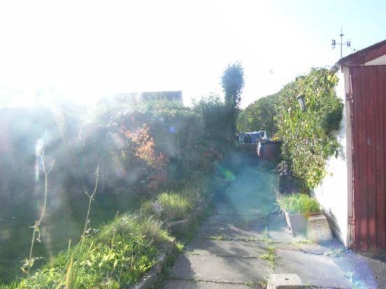 Picture No.11
