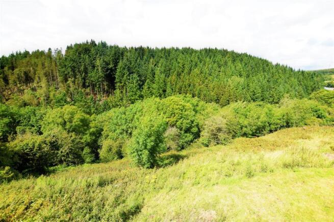 Woodland