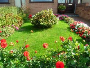 front garden