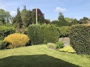 Front lawns