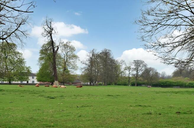 Field Views